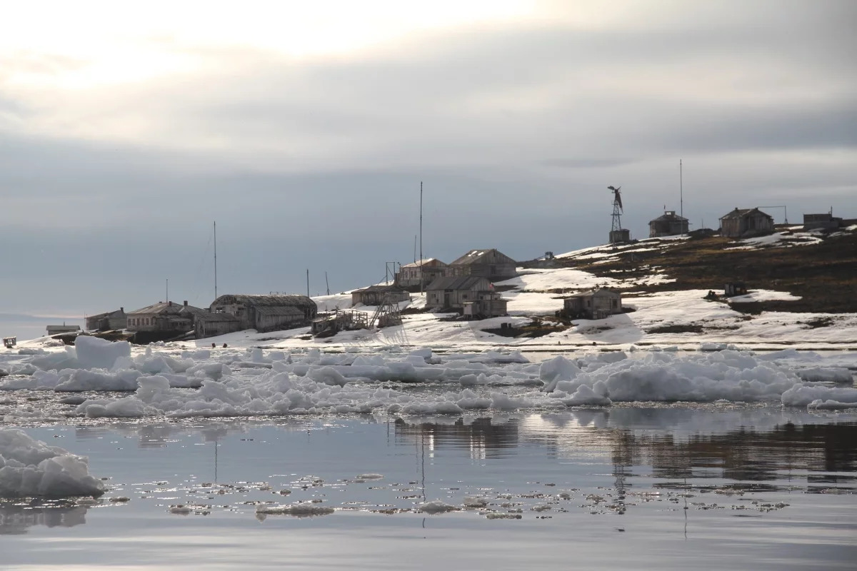 Новости - Зимняя спячка отменяется: как пережить полярную ночь и не превратиться в грустного тюленя новости