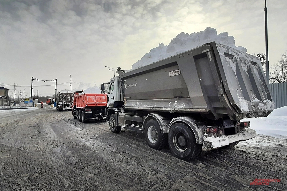 Новости - Тайная жизнь сугроба: Лазерный фейс-контроль, «мясорубка» и джакузи с сюрпризом ❄️ новости