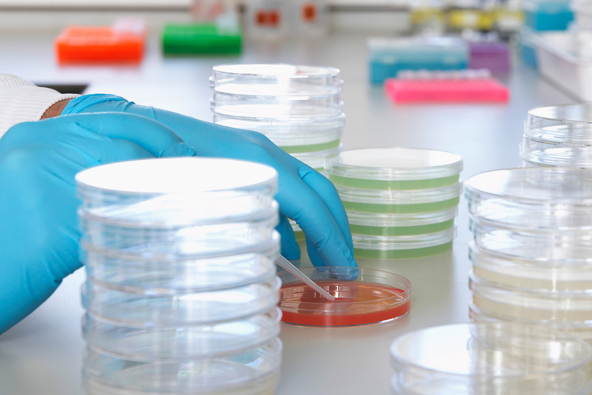 Новости - Тук-тук, кто там? Российские ученые вырастили сердце в пробирке и сняли про это научный блокбастер новости