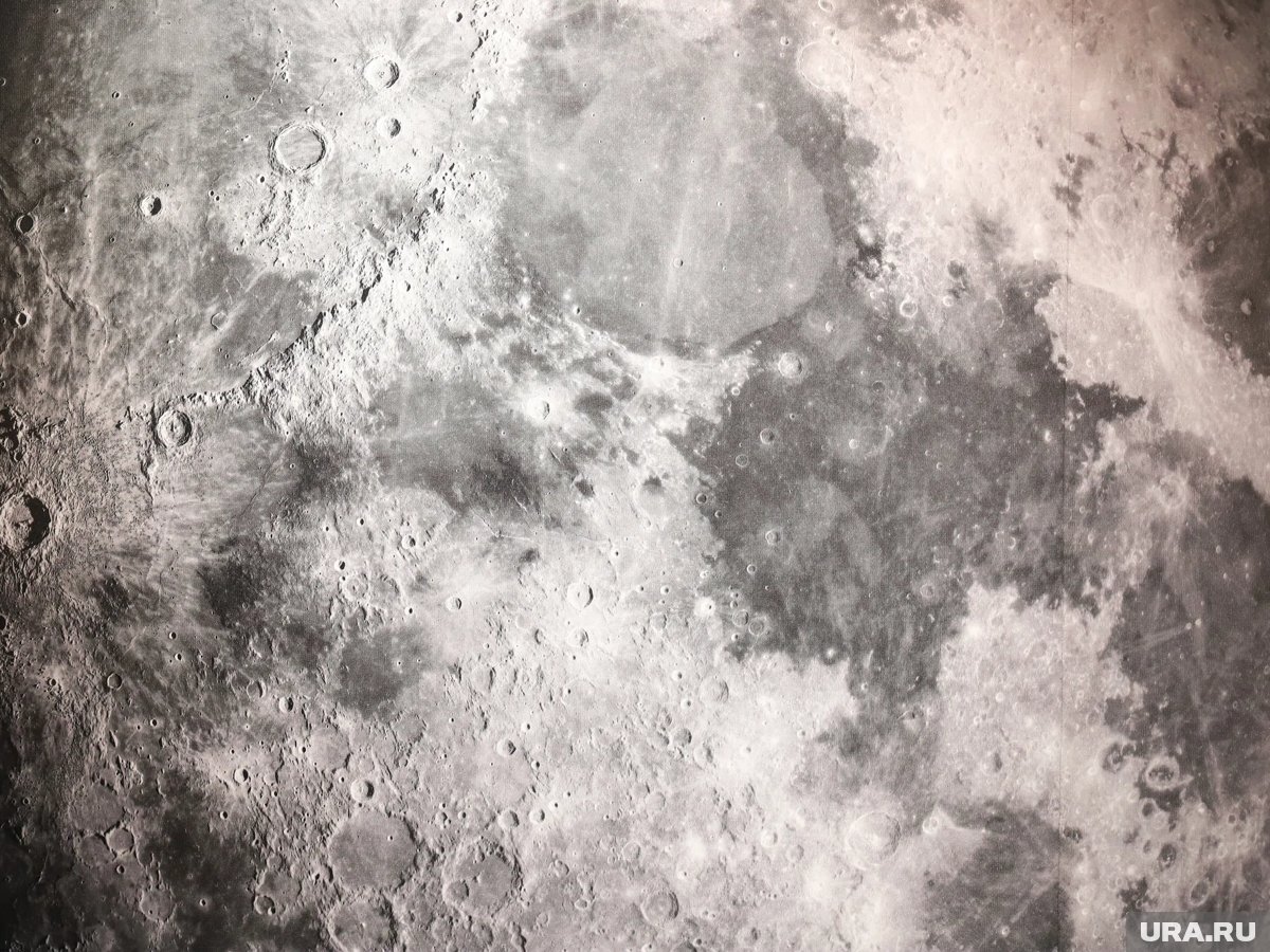 Новости - Лунная дача и марсианский огород: Илон Маск утвердил график великого переселения человечества новости