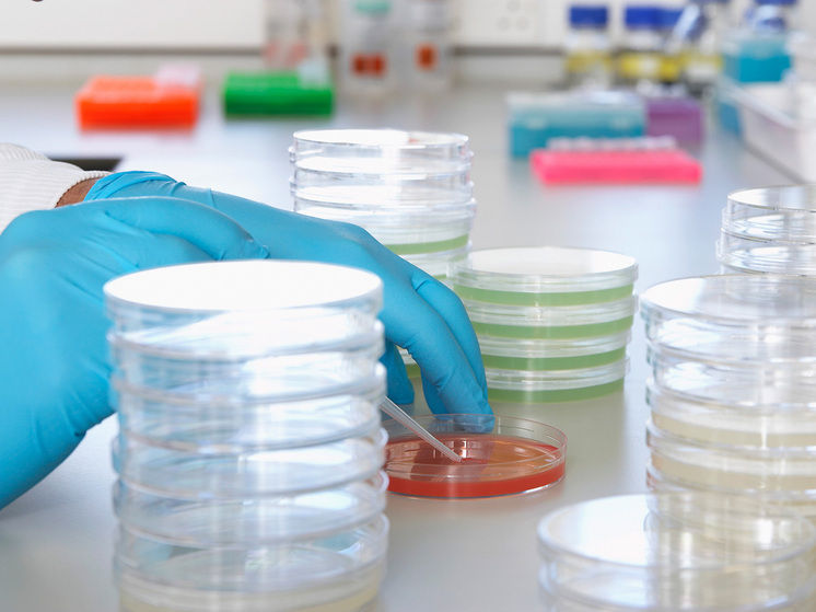 Новости - Тук-тук, кто там? Российские ученые вырастили сердце в пробирке и сняли про это научный блокбастер новости