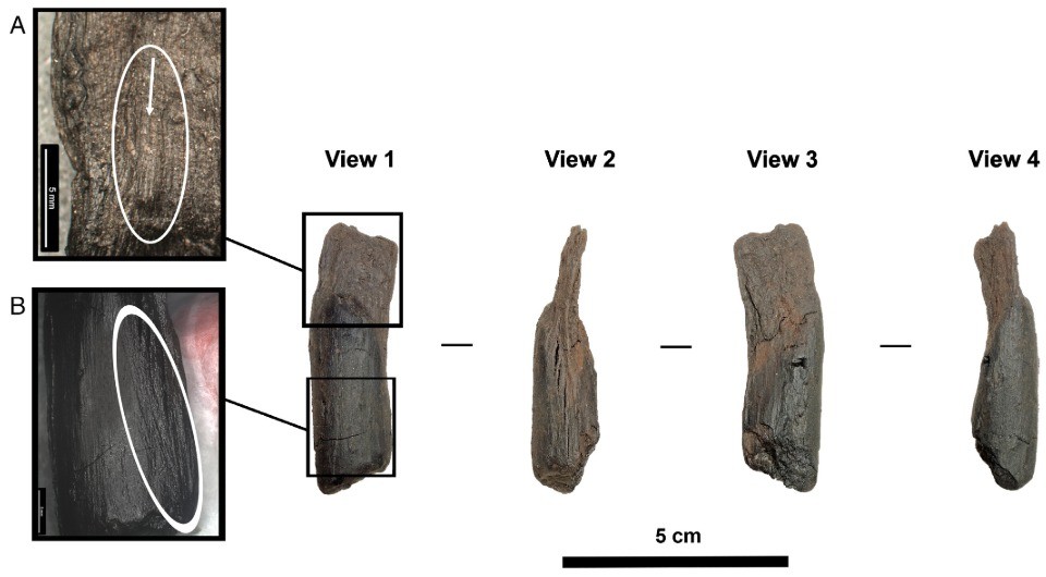 Новости - Сенсация из болота: В Греции откопали «гаджеты» предков, которые прочнее современной ипотеки новости