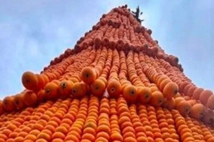 Праздник мандаринов: новогодняя елка высотой в 5 метров украсила Сухум - новости