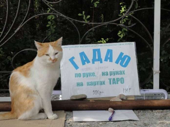 Россия, страна загадок и тайн, где над городами порой кружат не только воробьи, но и бабушки с шали. Вот и свежие новости дня: в... - новости