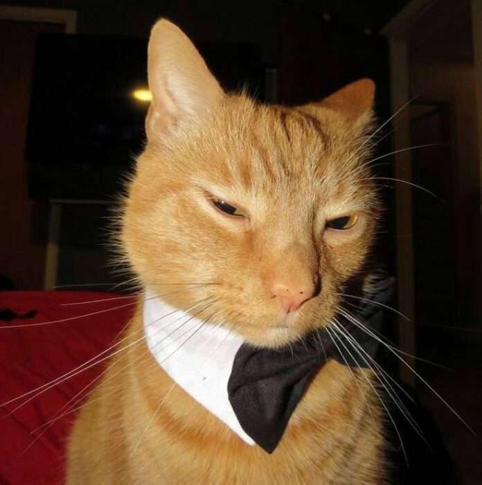 Средние дети: Честные Сердца и Будущие Лидеры! 🎉 - новости