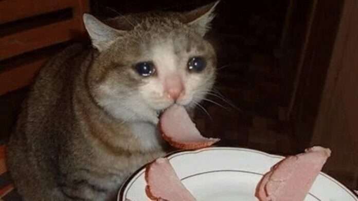 Колбаса — друг или враг? Разве об этом можно спорить? - новости