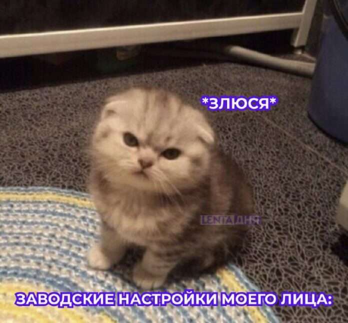 В мире повседневной суеты и стресса, где наш рабочий день часто начинается с постоянных «до свидания, спокойствие!», появление н... - новости