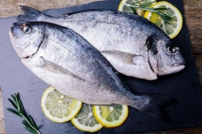 Черное море: Пляж, приключения и незабываемые впечатления - новости