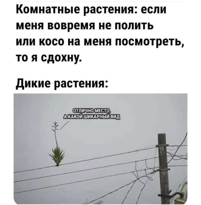 Научные Исследования: Путь к Ответам на Сложные Вопросы - новости