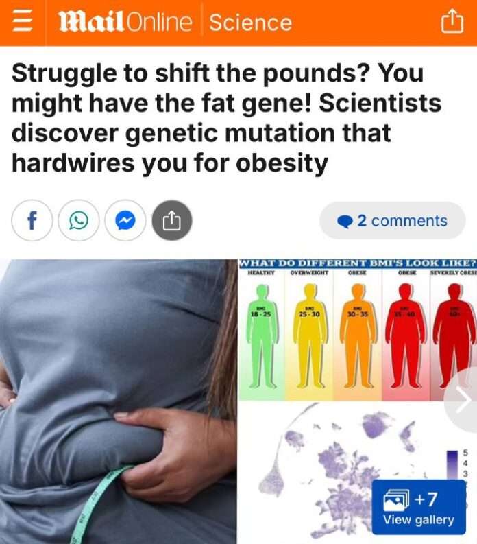 Ген ожирения обнаружен!  Прощай, диета, здравствуй, жирок! Репортаж с передовой диетологии в уморительных кофейных новостях. - новости