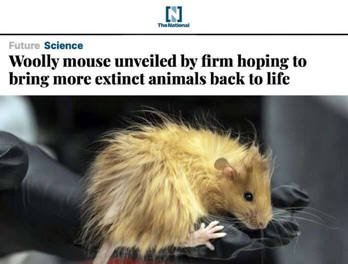 Пушистые новости: грызун стал почти мамонтом благодаря семи генам. - новости