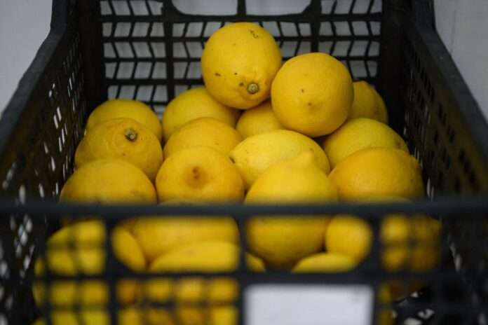 ​🍋 Не только бананы: россиян предупредили о подорожании еще одного фрукта - новости