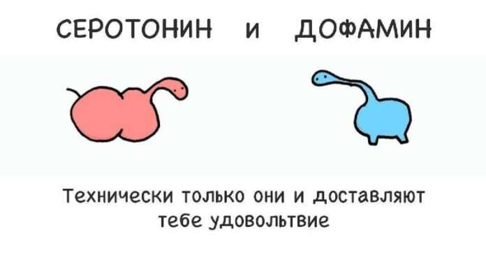 Учёные назвали дефицит серотонина одной из причин ухудшения ментального здоровья и выгорания. - новости