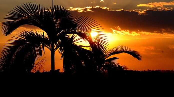 ​На майских праздниках за рубежом планируют отдохнуть около 900 тыс. россиян - новости