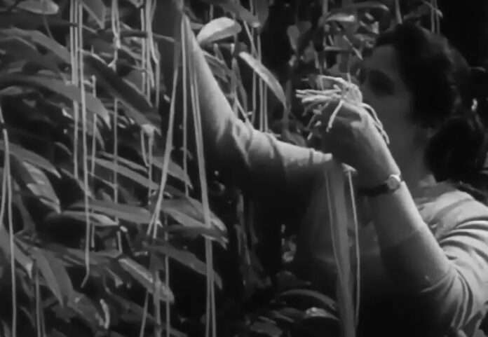 ​1 апреля во всем мире принято шутить друг над другом, но нередко в этот день и СМИ дурачили народ. Некоторые розыгрыши оказалис... - новости