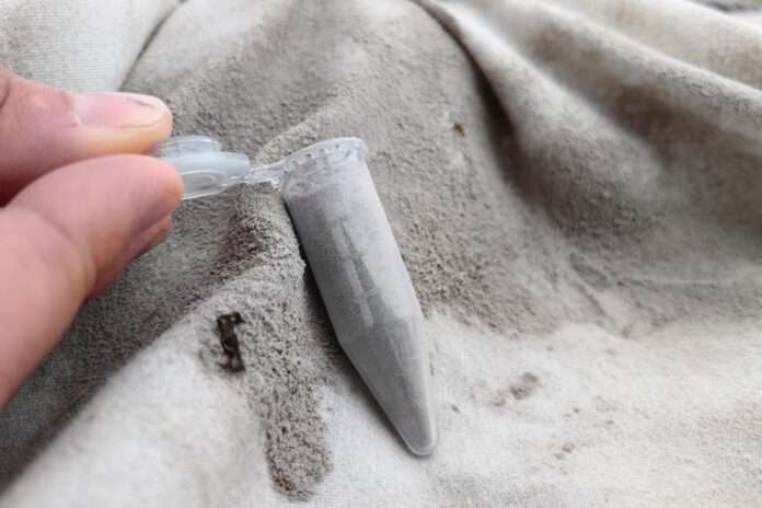 ​Ученый Демянчук: Возможно сильное извержение вулкана Безымянный - новости