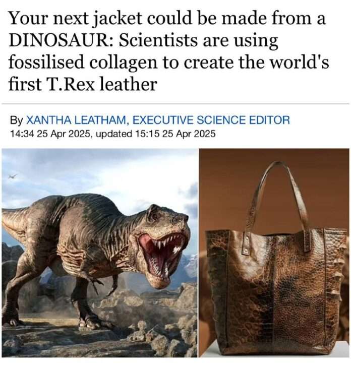 Учёные воскресили кожу динозавров. - новости