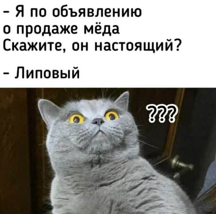 🍯 Производство меда может сократиться из-за неурожая в России - новости
