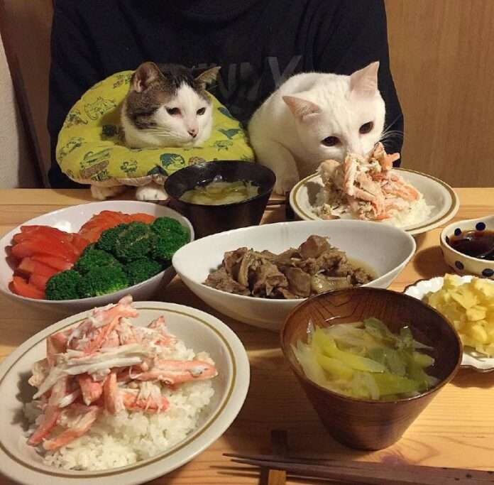 🍲 Дороже всего обед в ресторане для двух персон оказался в странах Европы - новости