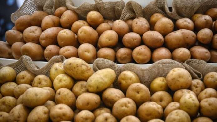 Картофельный бунт: почему так сильно подорожал овощ - новости