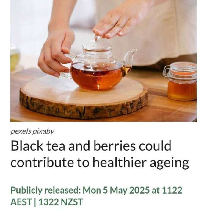 Учёные назвали продукты для долголетия — чёрный чай и ягоды. - новости