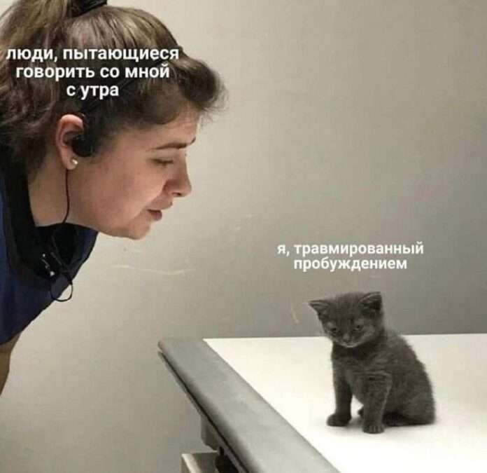 ❓Почему первые 10 минут утра важнее, чем весь день - новости