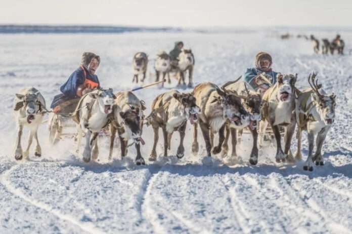 ​В РФ утвердили концепцию развития коренных народов - новости