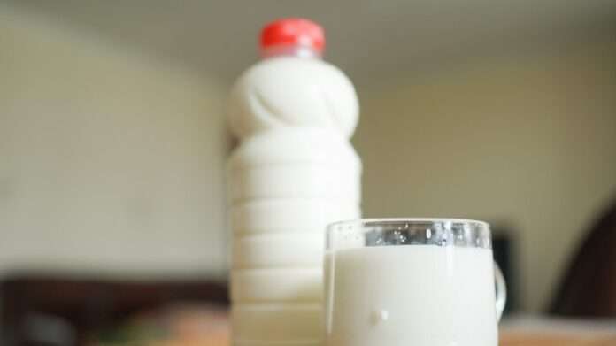 Скрытый враг: почему после 30 лет молоко может начать вредить - новости