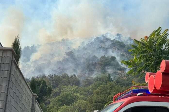 ​Лесной пожар в Крыму тушат более 300 человек - новости