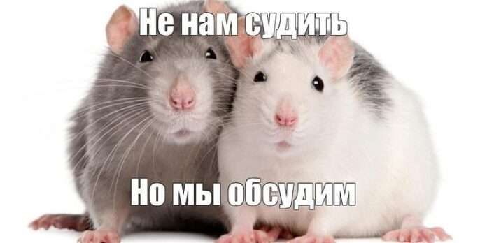 🐀 Официально: сплетни укрепляют командный дух - новости