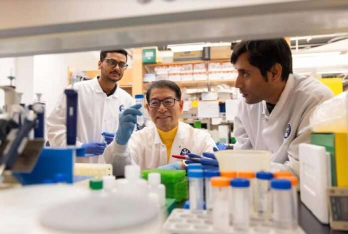 🦷 Ученые создали имплант, который «оживает» во рту - новости