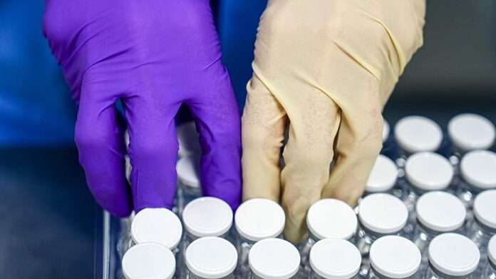 ​Квантовые алгоритмы ускорят создание лекарств и аккумуляторов - новости