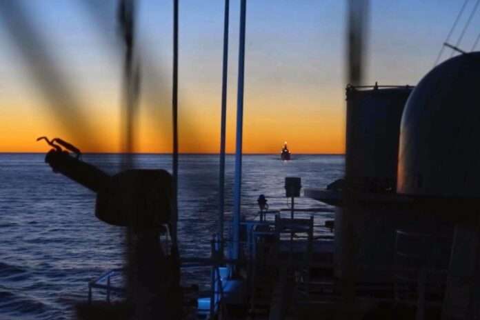 ​Ученые обнаружили сообщения нечеловеческого разума в океане - новости