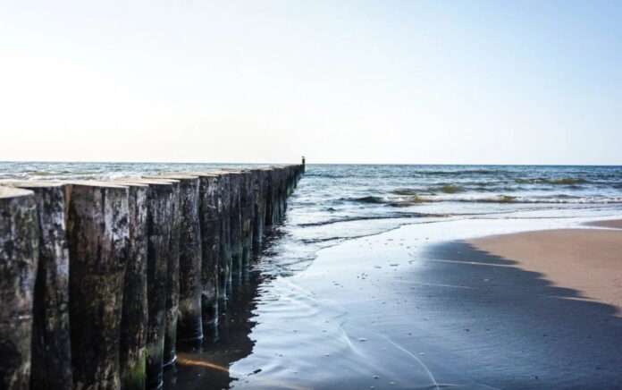 ​DM: археологи нашли у берегов США корабль легендарного капитана Кука - новости