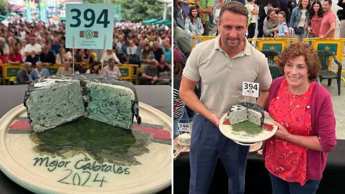 🧀 В Испании на аукционе пещерный сыр продали за рекордные $42 тыс. (более 3 млн руб) - новости