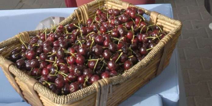 🍒 Врач рассказала, сколько черешни можно есть в день - новости