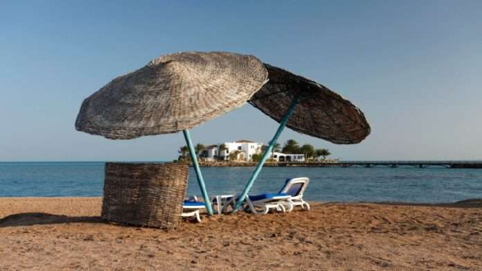 Экзотический отдых: россияне массово выбирают туристические направления в Африку - новости