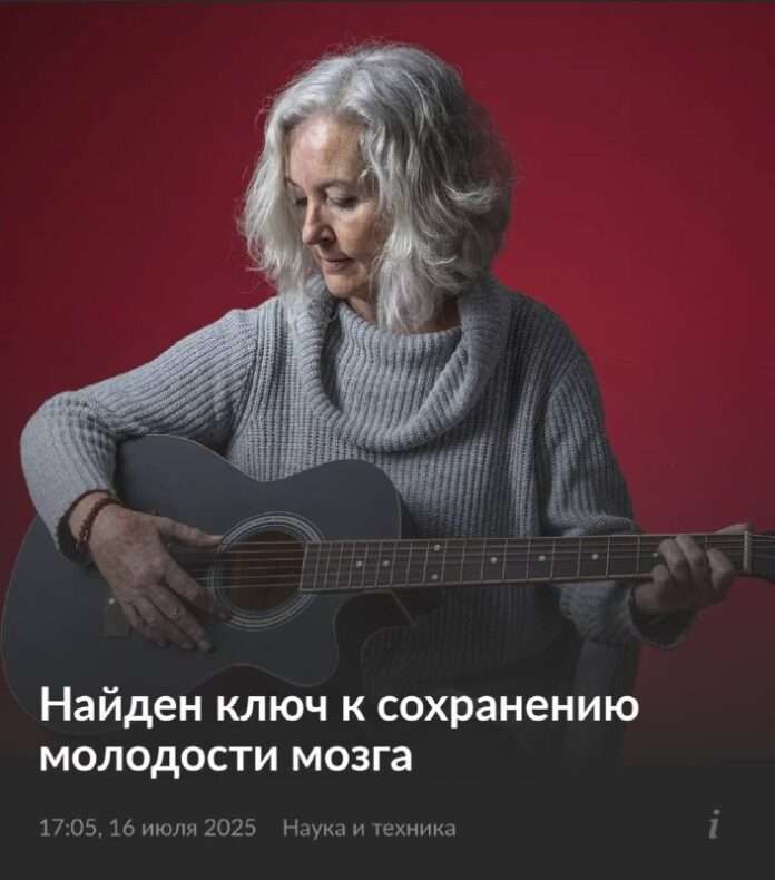 Мозг музыкантов не стареет, сообщают учёные. - новости