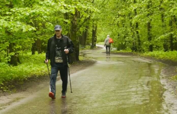 ​🚶‍♂️ Миф о 10 тысячах шагов в день развеяли — достаточно 7 тысяч - новости