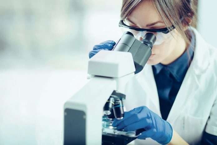 ​Пчелиный яд может спасти сотни тысяч жизней: ученые изучают инновационный способ лечения рака - новости