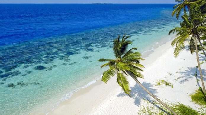 ​Океанолог усомнился в достоверности прогнозов об изменениях в Мировом океане - новости