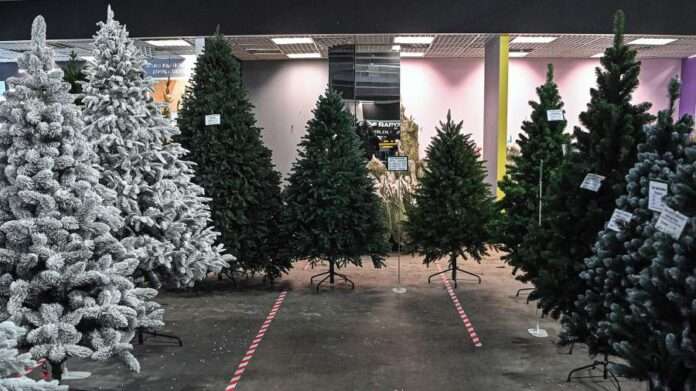 ​Как выбрать искусственную елку на Новый год – 2026: советы - новости