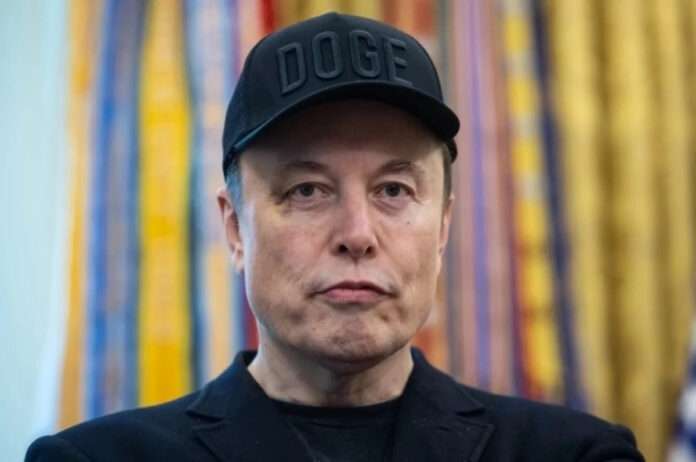 ​Маск предупредил о риске вымирания «белых людей» - новости