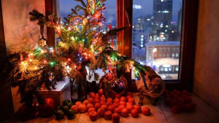 Россияне запланировали провести новогодние каникулы дома с семьей - новости