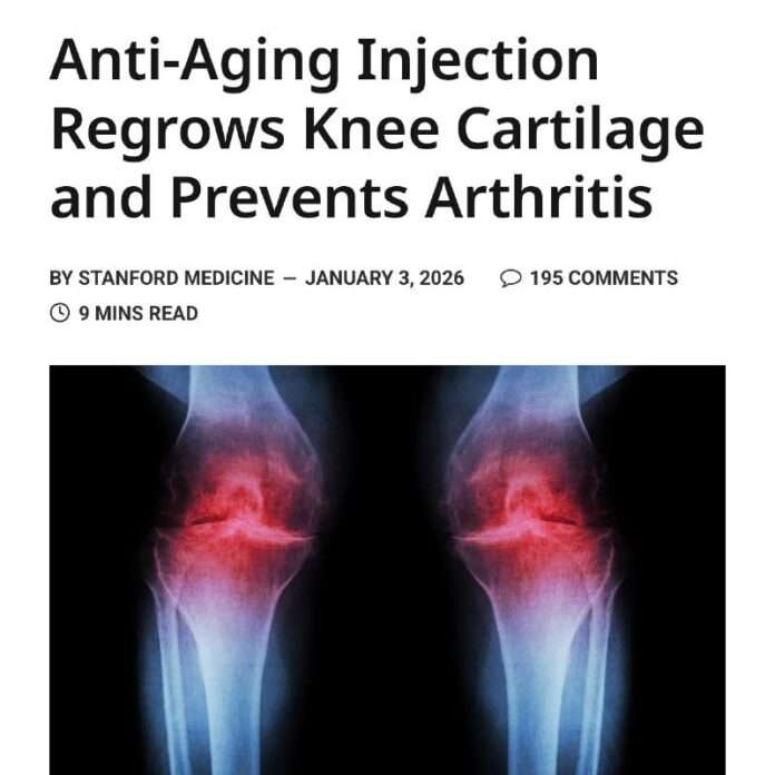 Учёные научились «чинить» колени: хрящ можно восстанавливать прямо внутри сустава. - новости