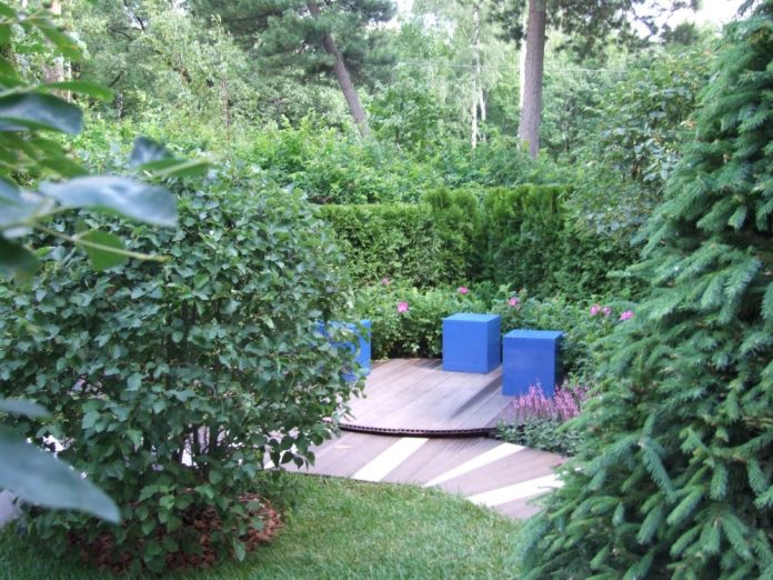 Соседи в шоке: роскошный сад для ленивых богов, который растет сам, пока ты просто кайфуешь - новости