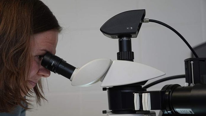 Ученые разработали новый метод увеличения нефтеотдачи скважин - новости