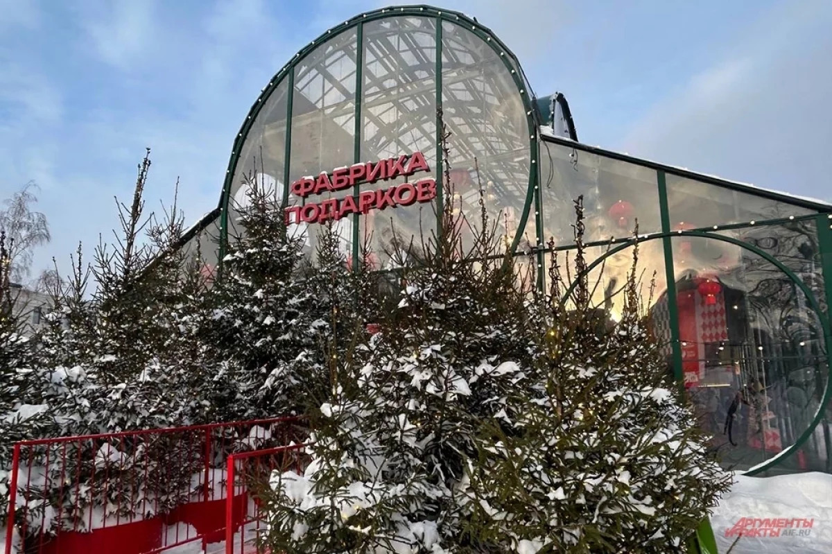 Еда на фестивале