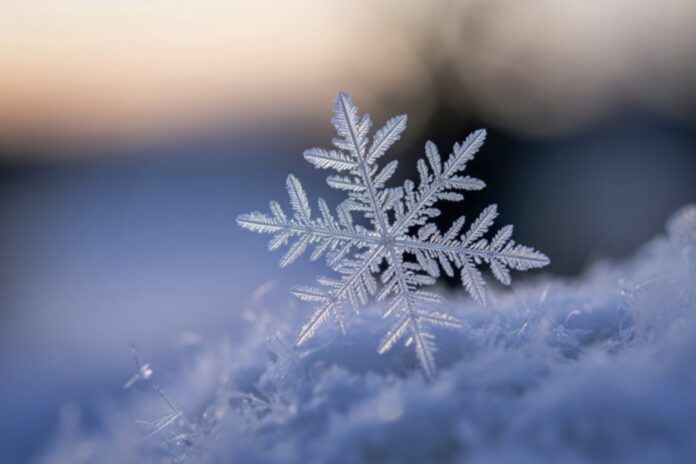 Ученые из Уральского федерального университета изучают структуру снежинок под микроскопом, раскрывая их неожиданные свойства.