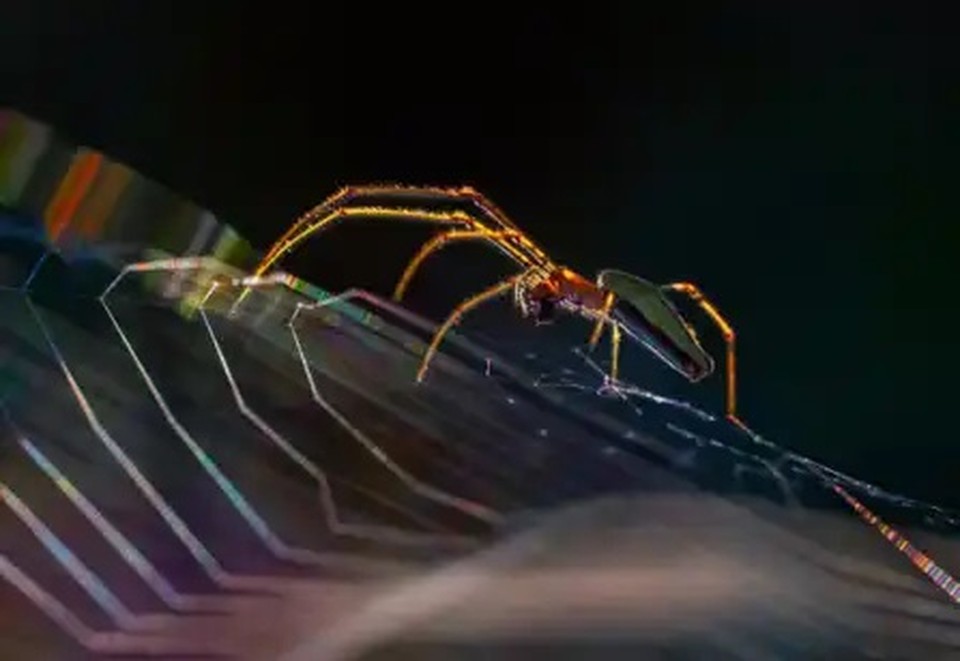 Фотограф на вершине горы